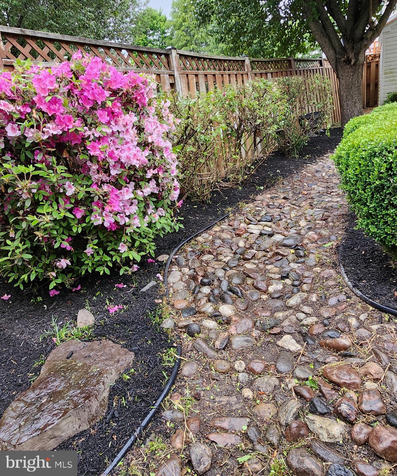 TRENTDALE VILLAGE - Residential Lease