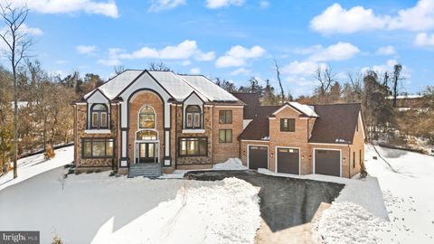 40925 ALYSHEBA DRIVE LEESBURG VA 20176