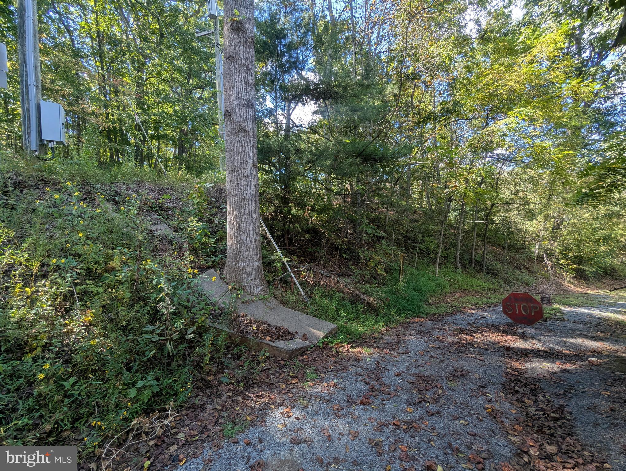 ORANGE - Residential