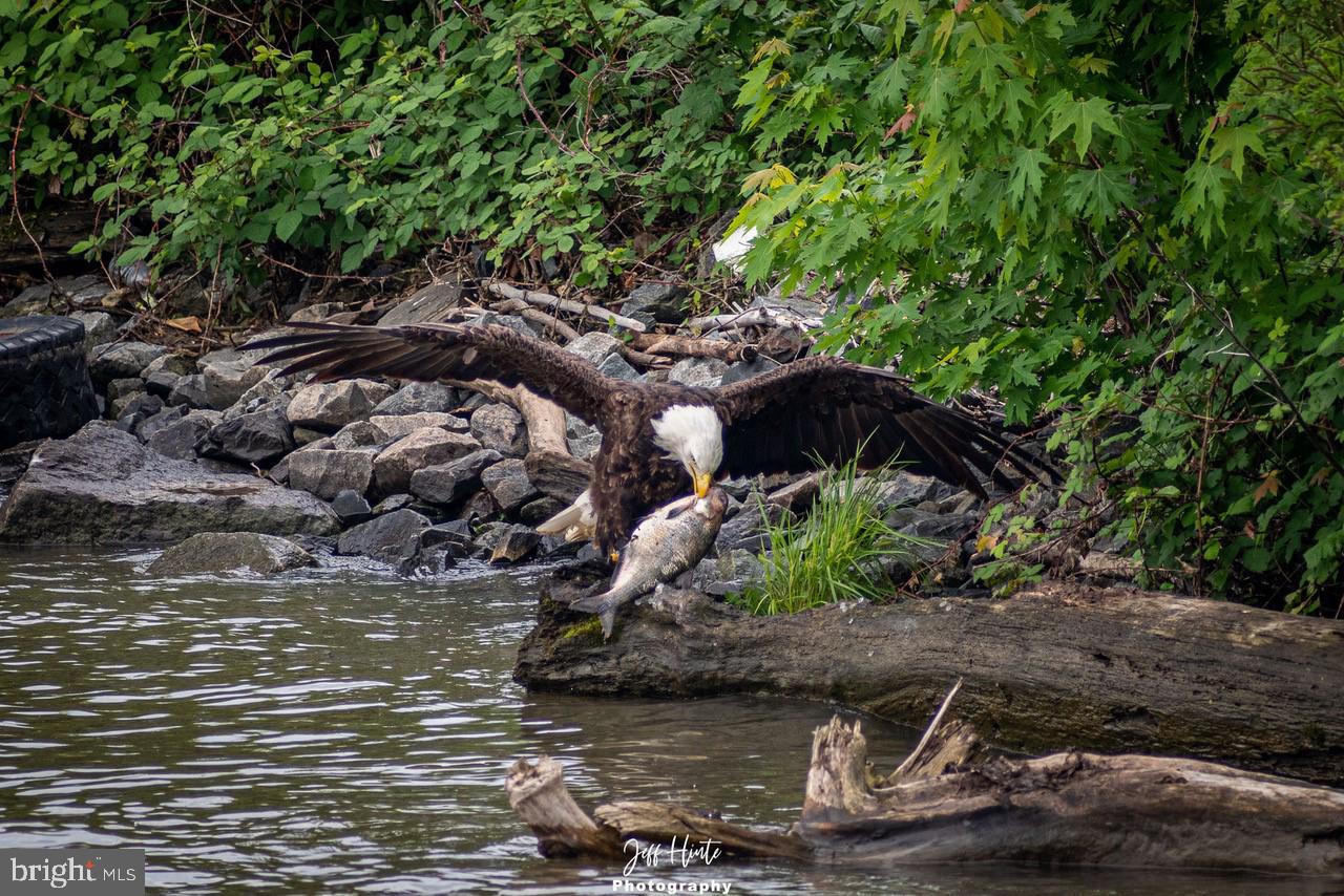 SENECA POINTE - Residential