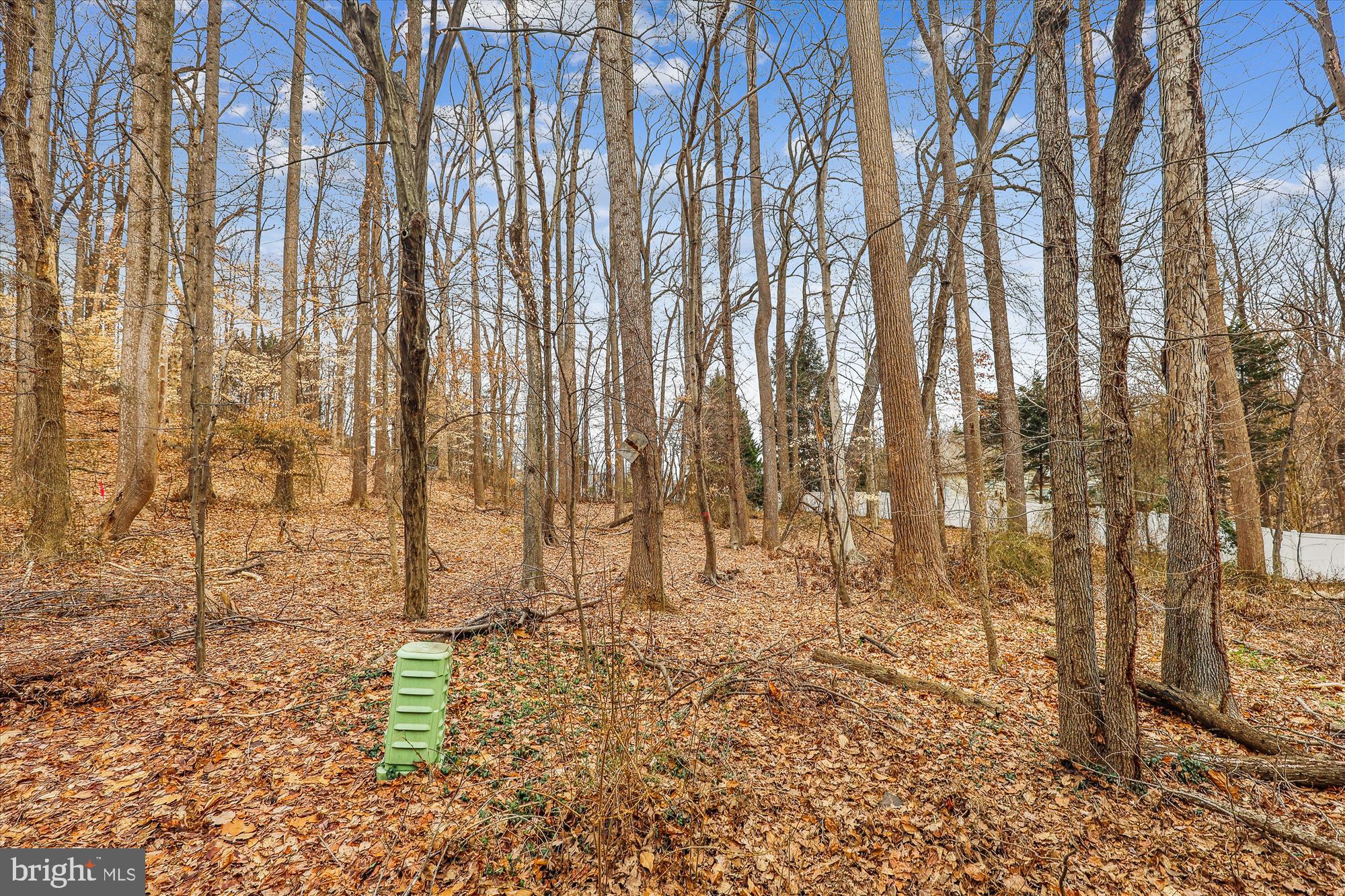 RUNNYMEADE - Residential