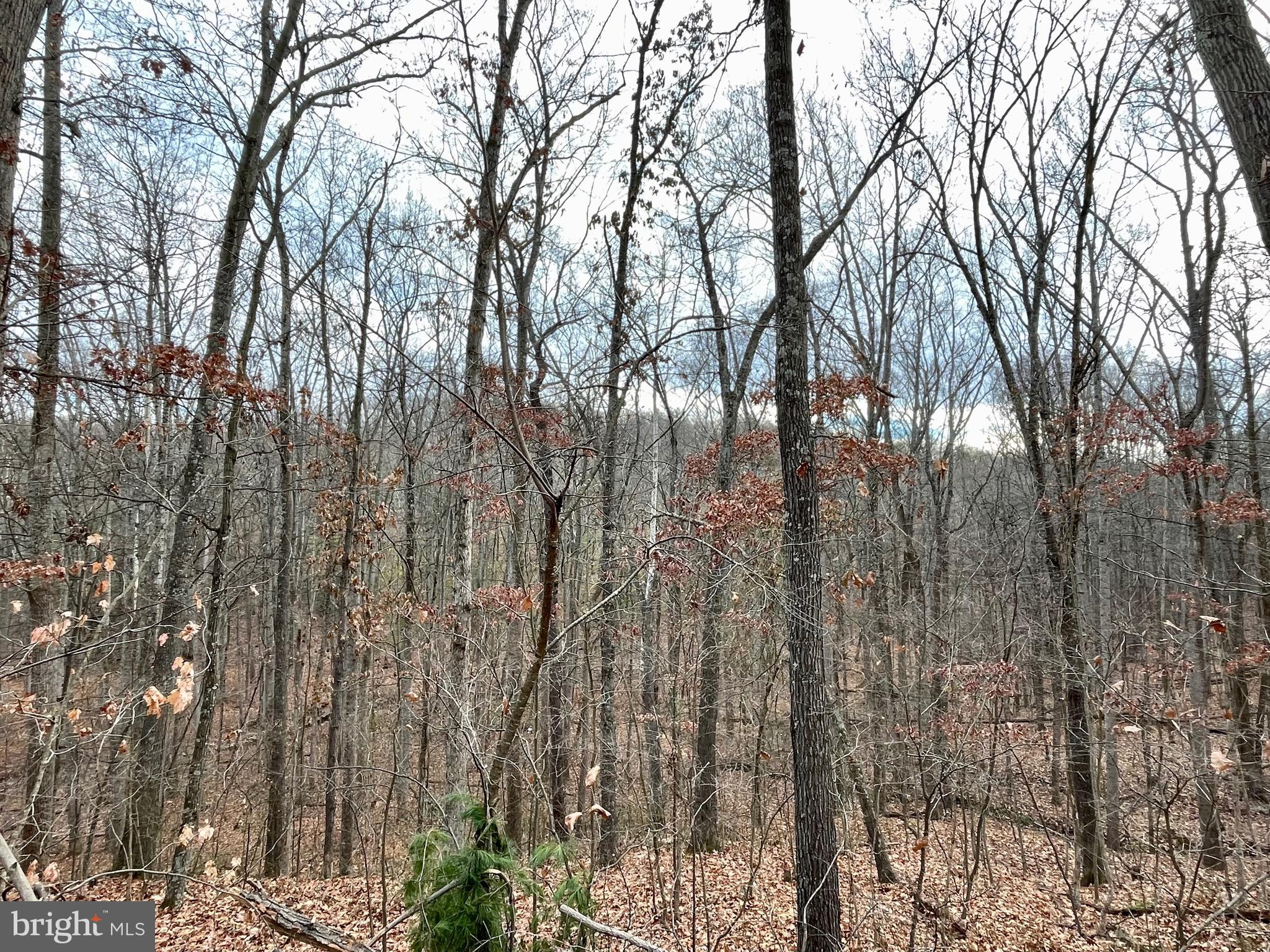 SLEEPY HOLLOW - Residential