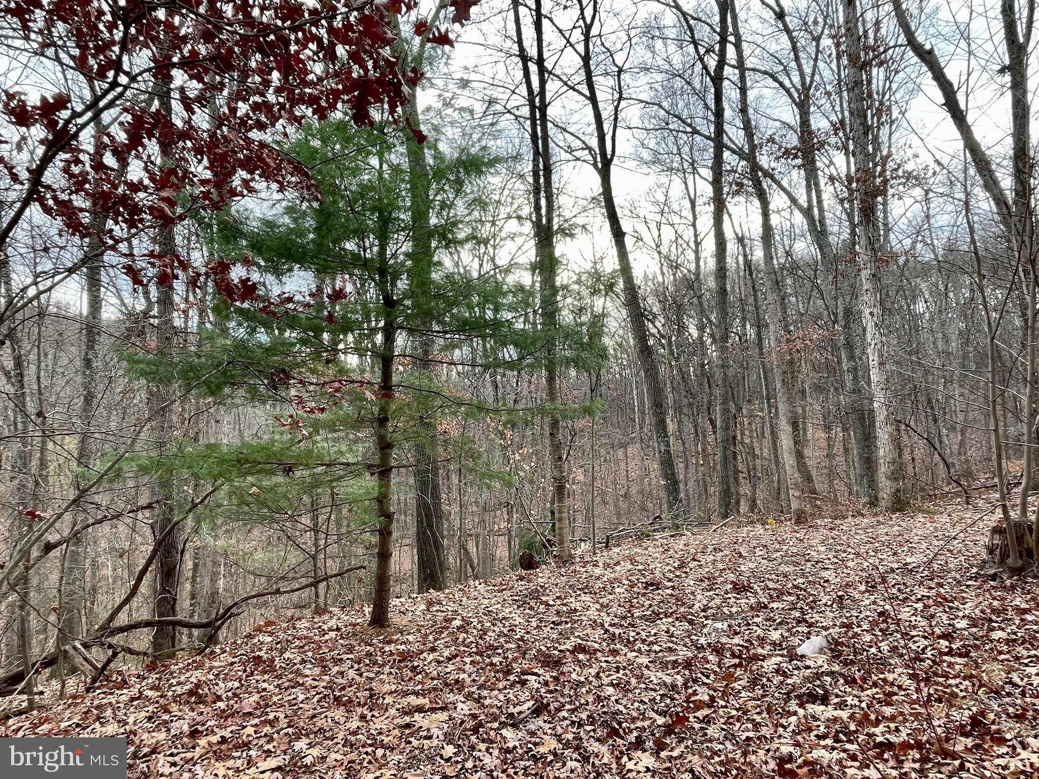 SLEEPY HOLLOW - Residential