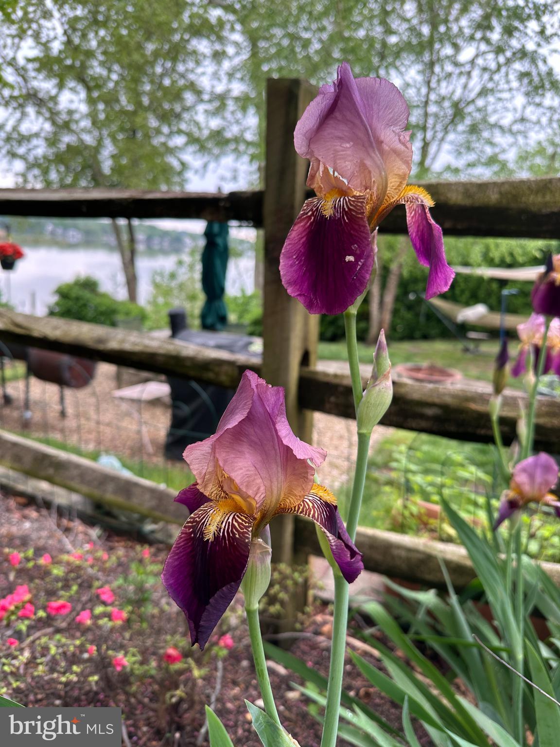 LORELEY BEACH - Residential