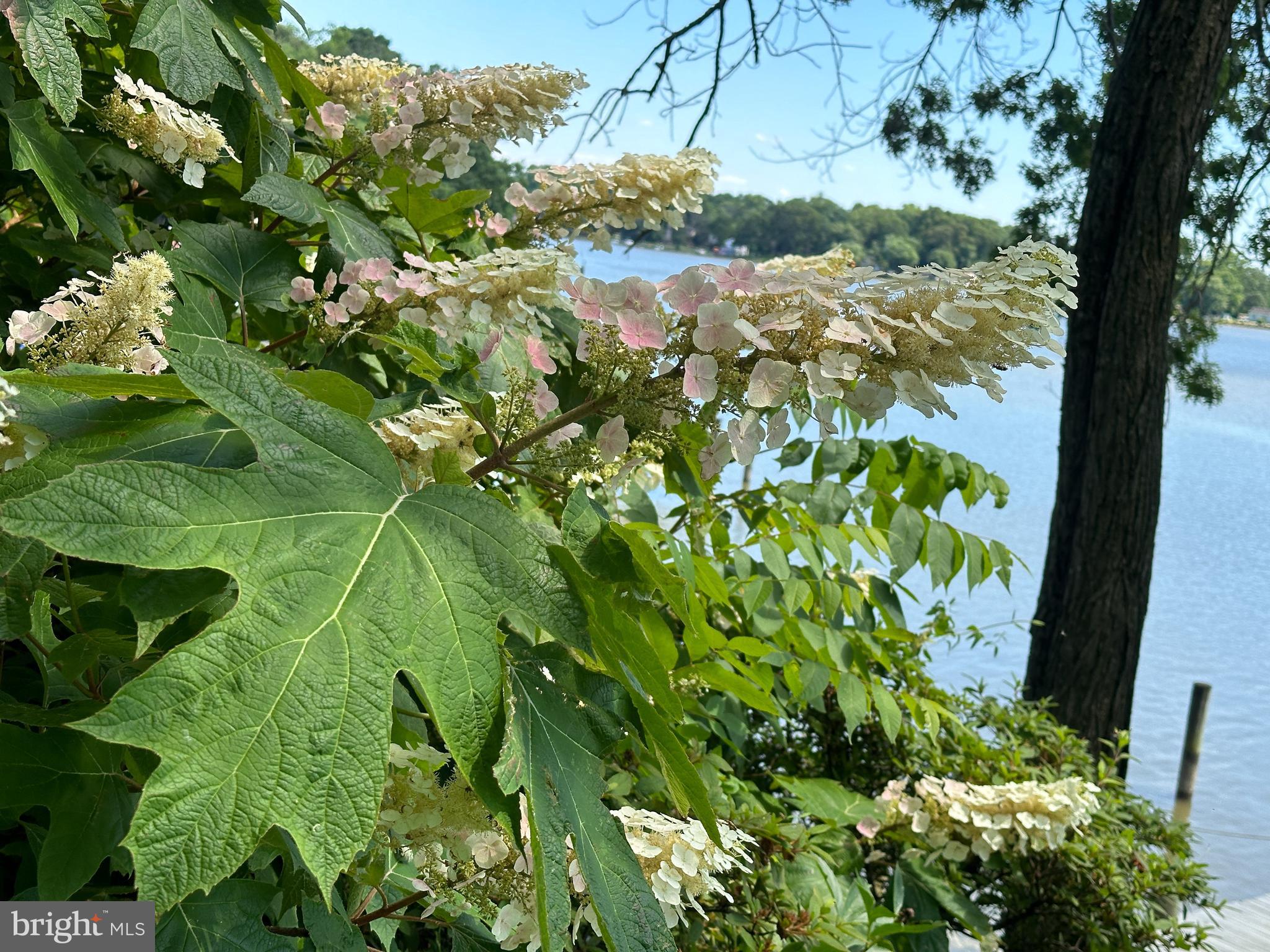 LORELEY BEACH - Residential