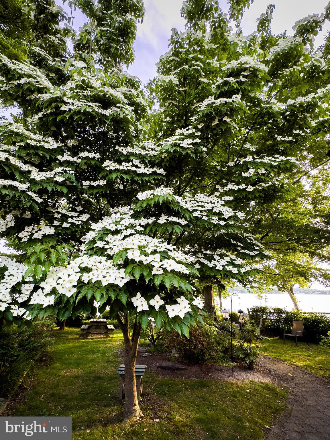 LORELEY BEACH - Residential