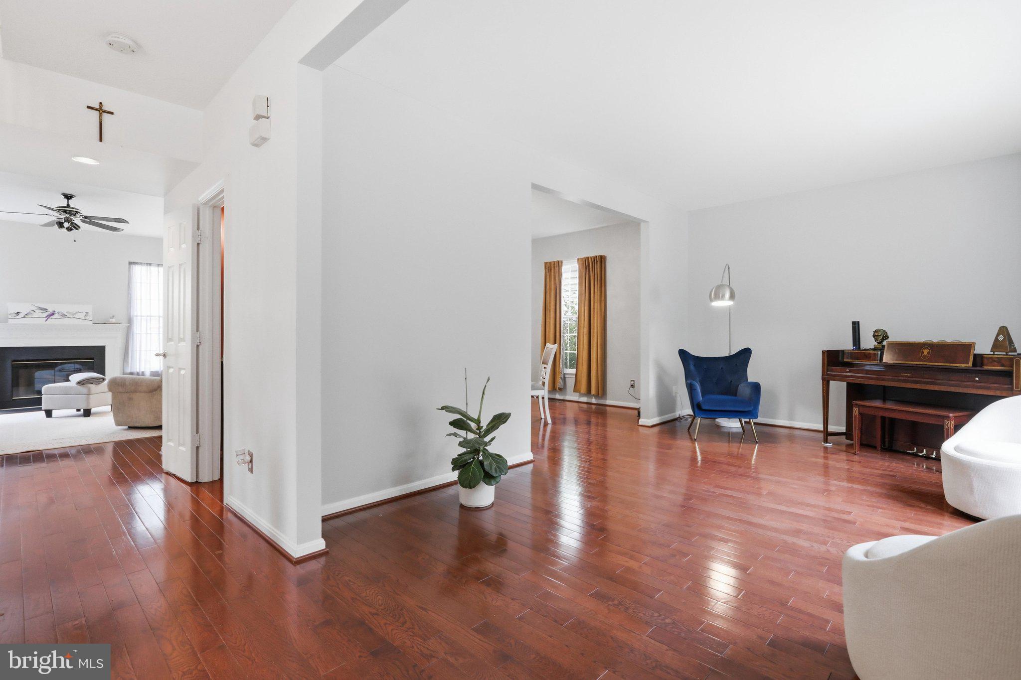 8704 VANILLA LEAF COURT