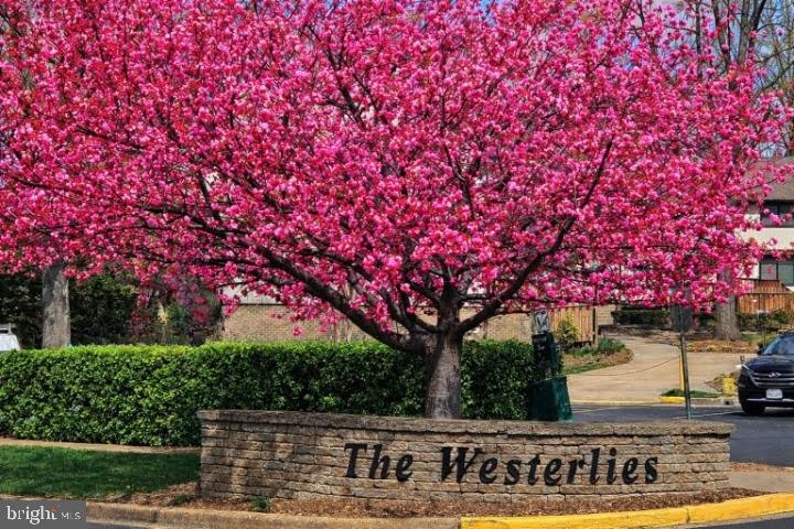 THE WESTERLIES - Residential