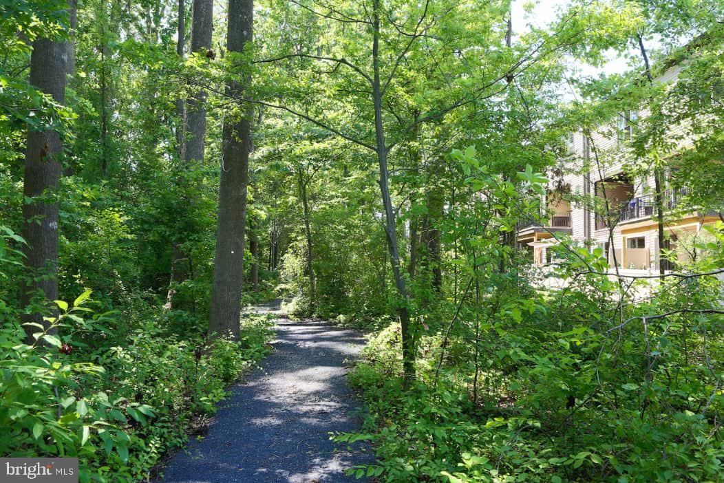 WEST OAKS CORNER - Residential Lease