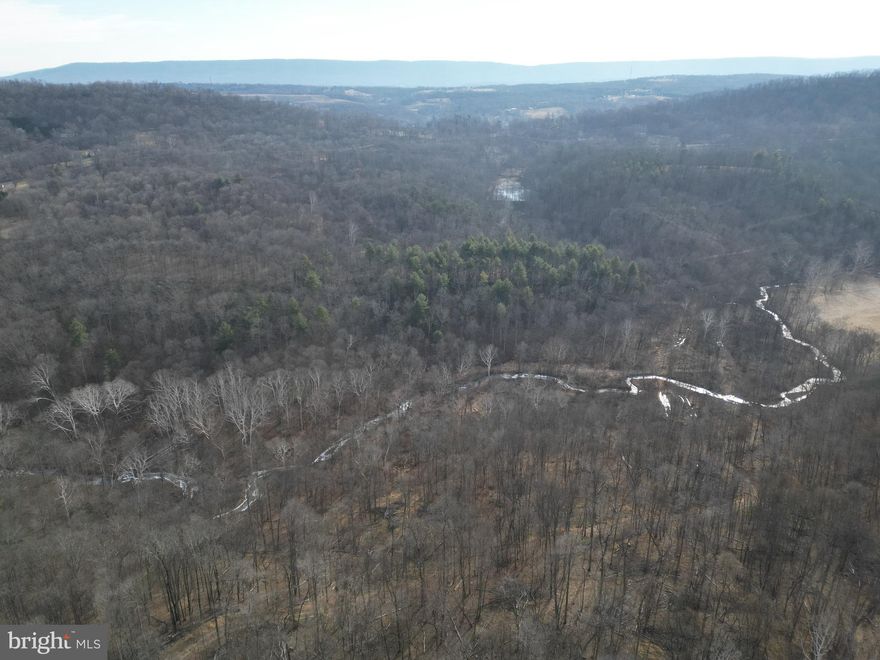 A Rare Legacy Property with Water, Wildlife, and Mountain Views — Held in the Same Family Since 1954

Opportunities like this are becoming increasingly rare. This remarkable property has not changed hands since 1954, offering a once-in-a-generation chance to own a large acreage just on the outskirts of the city limits—where privacy, natural beauty, and convenience come together seamlessly.

The land is easily accessed via two state-maintained paved roads, with multiple internal roads cutting through the property, making travel across the acreage simple and efficient. Whether you’re exploring, managing land, or planning future development, accessibility is a standout feature. Throughout the property, you’ll find ample build sites with mountain views, providing endless possibilities for estate homes, cabins, or a multi-home layout.

At the heart of the land lies a stunning two-acre pond, complete with the capability of being drained for cleanup and maintenance. Over the years, countless successful fishing stories have been created along its banks, making it a cherished centerpiece of the property and a gathering place for family and friends.

Adding to the property’s natural allure is over 1,000 feet of Sir Johns Run, which flows through the land year-round, offering the soothing sound of moving water and enhancing the recreational and aesthetic value of the property.

The land was select cut, and the resulting early successional growth has created prime wildlife habitat. As a result, extensive wildlife live on and travel through the property, making it ideal for nature lovers, hunters, and outdoor enthusiasts alike.

A significant advantage of this property is its direct access to public water, supported by a letter confirming six available connection taps, offering exceptional potential for future homes or development.

Despite its peaceful setting, the property is strategically located within easy reach of major destinations:

6 miles to Hancock, Maryland

37 miles to Winchester, Virginia

105 miles to Washington, D.C.

Whether you envision a private estate, recreational retreat, family compound, or long-term investment, this extraordinary property delivers on every level—history, water features, wildlife, accessibility, and location. Don’t miss the opportunity to own a truly special piece of land that blends legacy, beauty, and potential in one unforgettable offering.