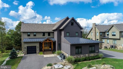 152 RIDGE RUN ROAD MC HENRY MD 21541