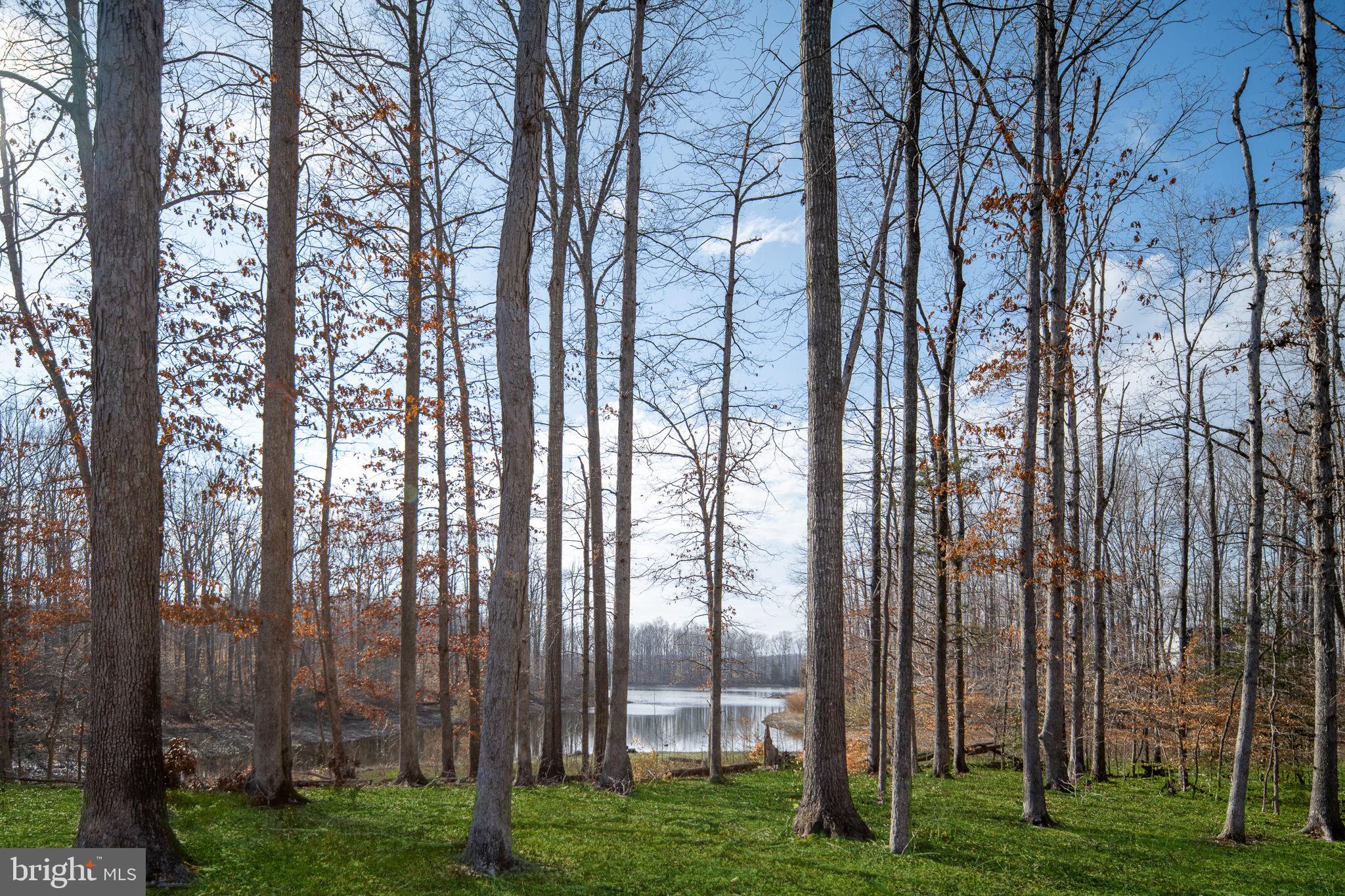 ROSNI ESTATES - Residential