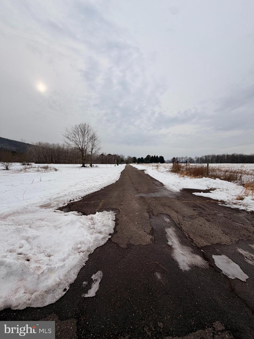 Photo of 160 E Spruce Street, RINGTOWN, PA 17967 (MLS # PASK2025510)