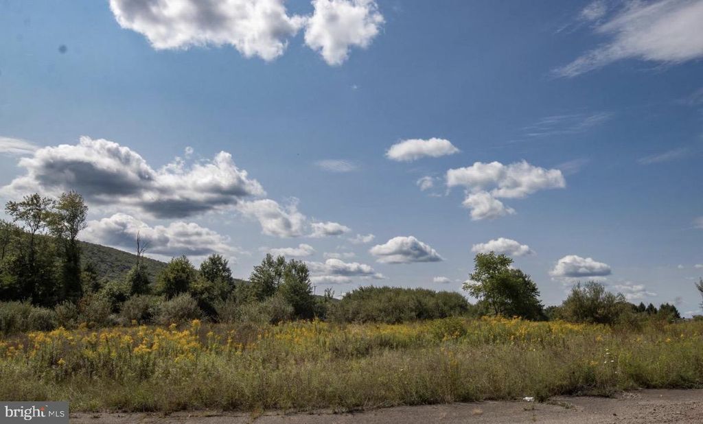 Photo of 160 E Spruce Street, RINGTOWN, PA 17967 (MLS # PASK2025510)