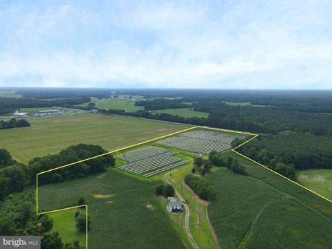 Vacant Land For Sale - 7235 Sixty Foot Road<br/> PITTSVILLE, MD 21850
