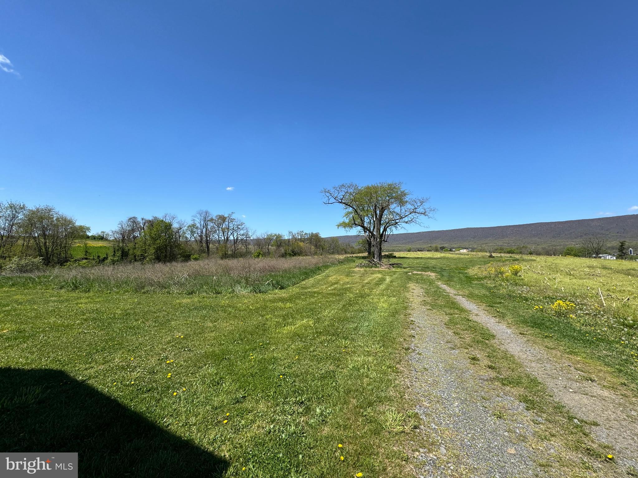 NONE AVAILABLE - Farm