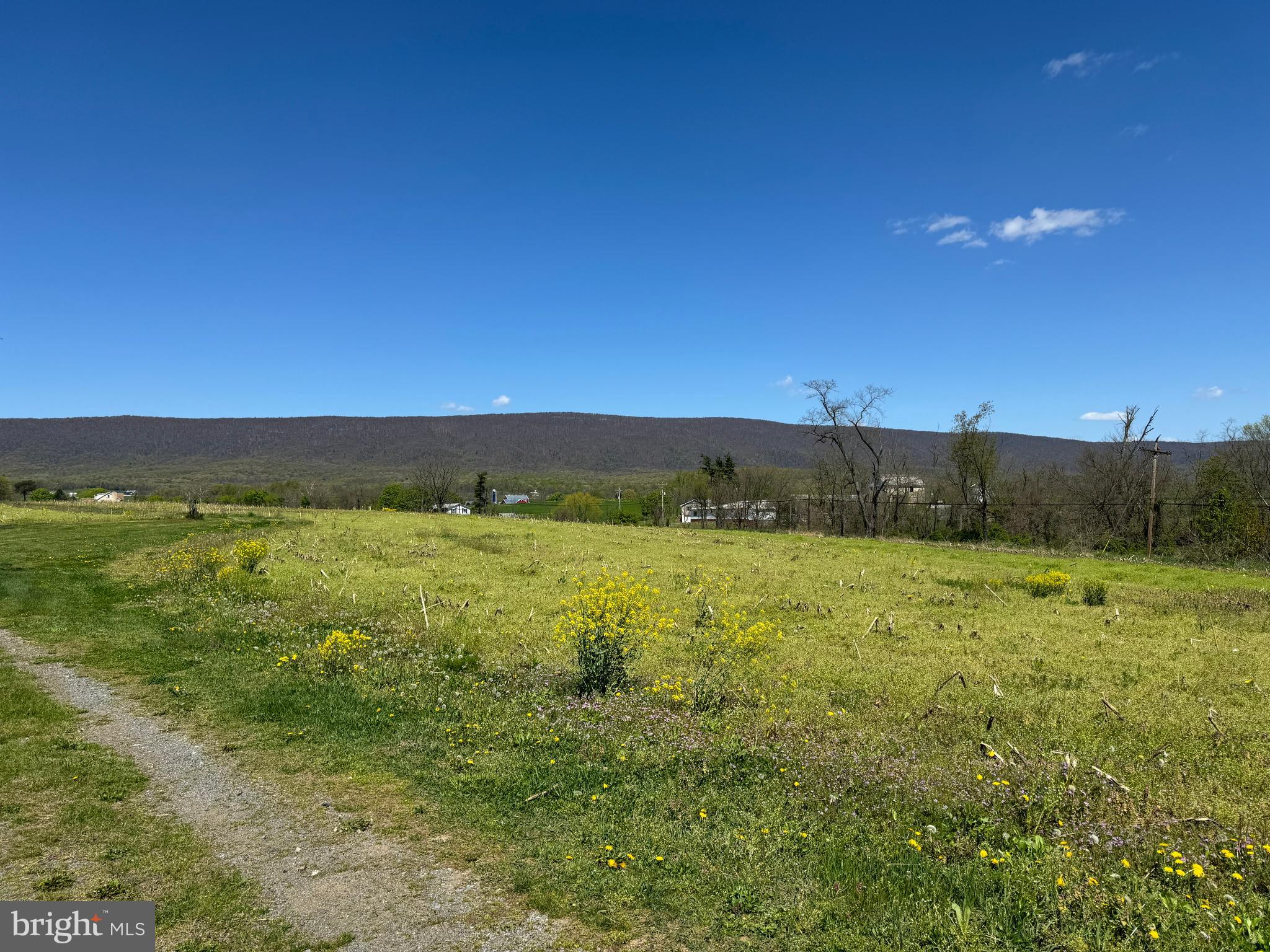 NONE AVAILABLE - Farm