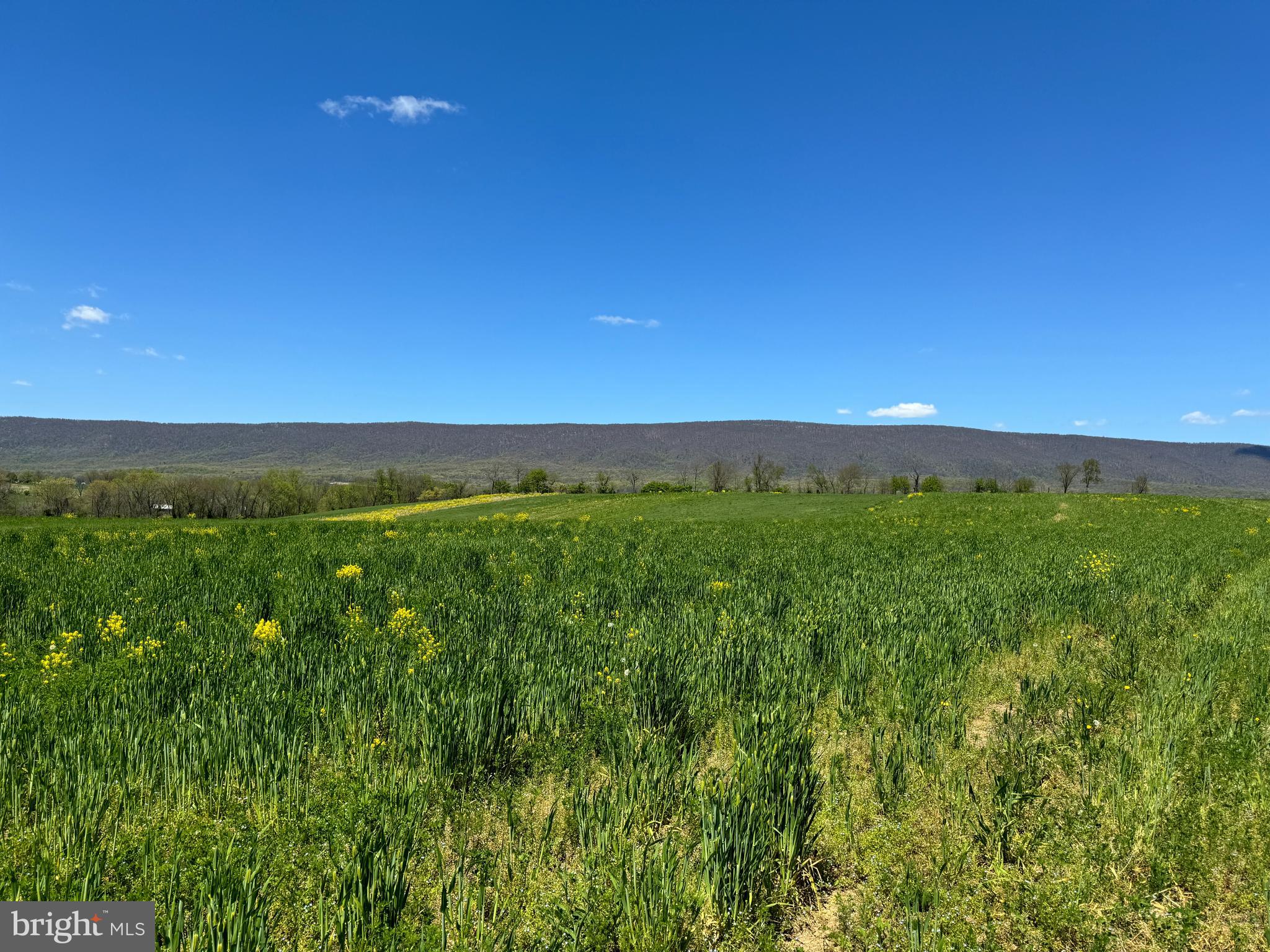 NONE AVAILABLE - Farm