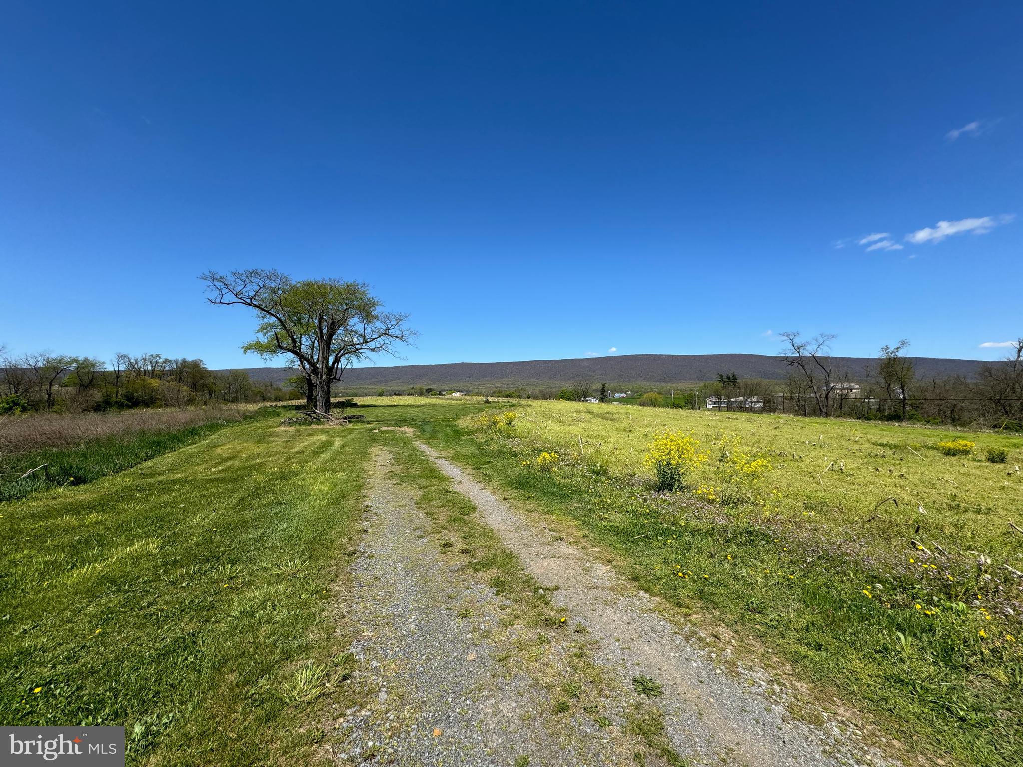 NONE AVAILABLE - Farm