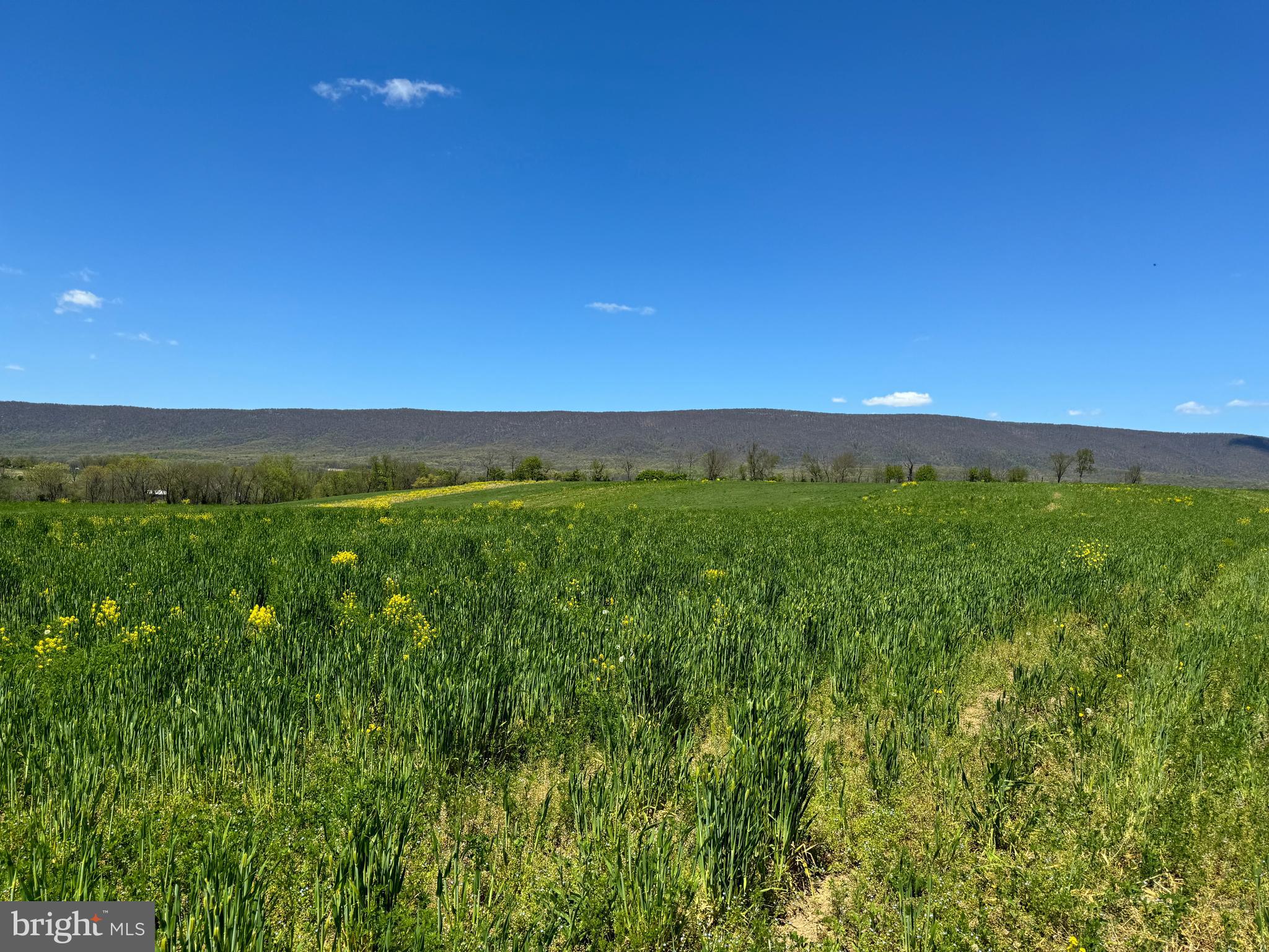 NONE AVAILABLE - Farm