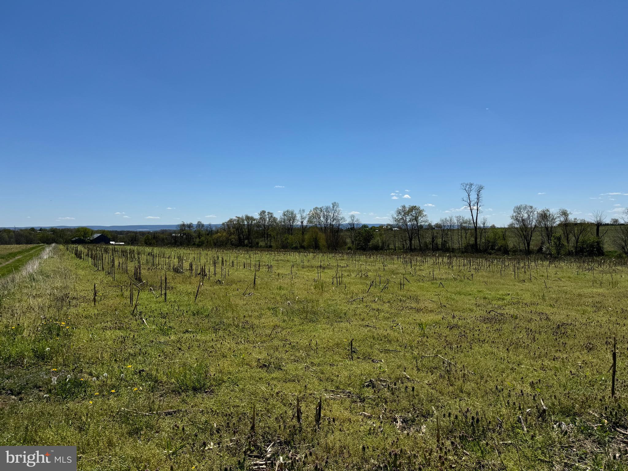 NONE AVAILABLE - Farm