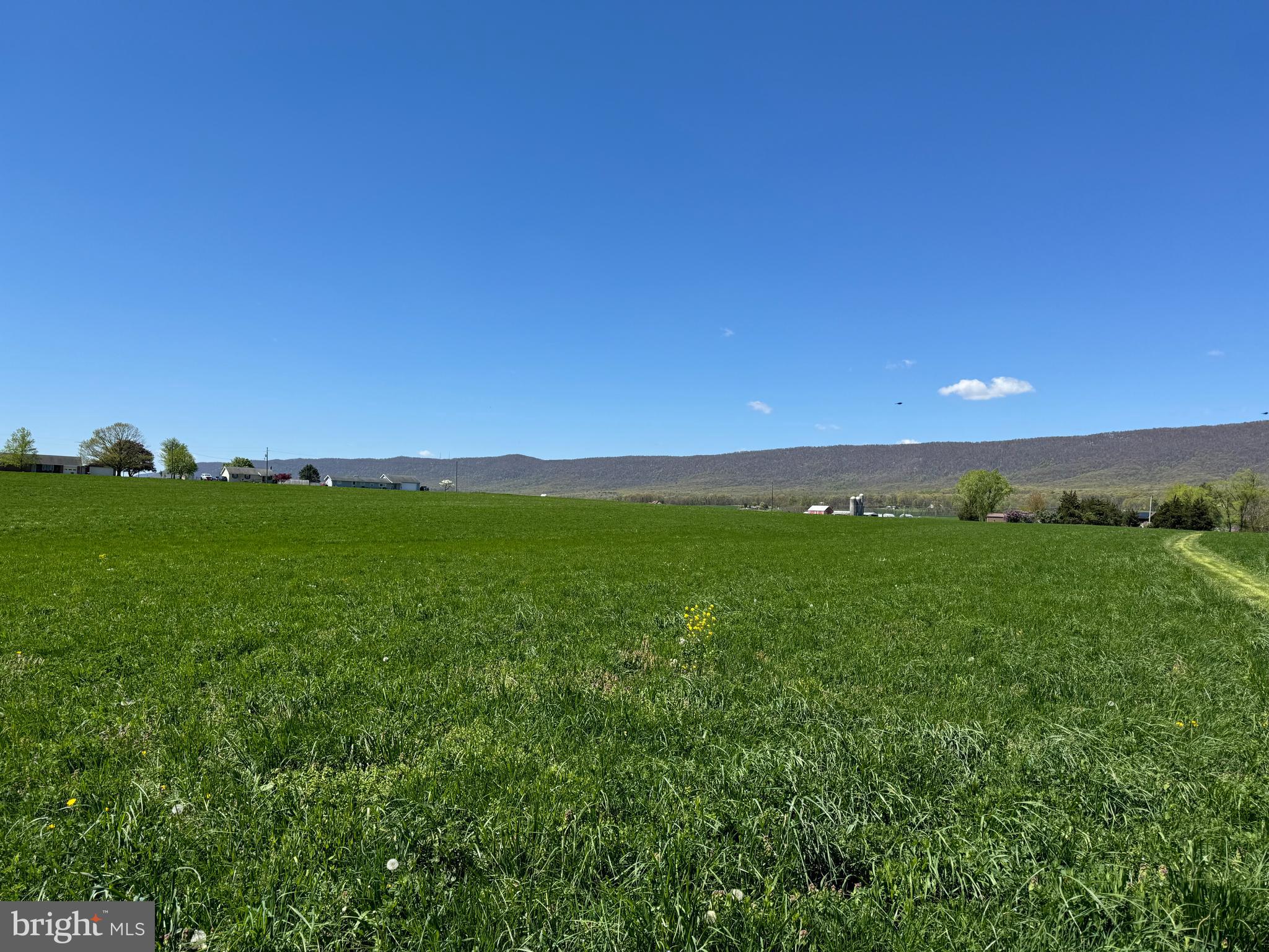 NONE AVAILABLE - Farm