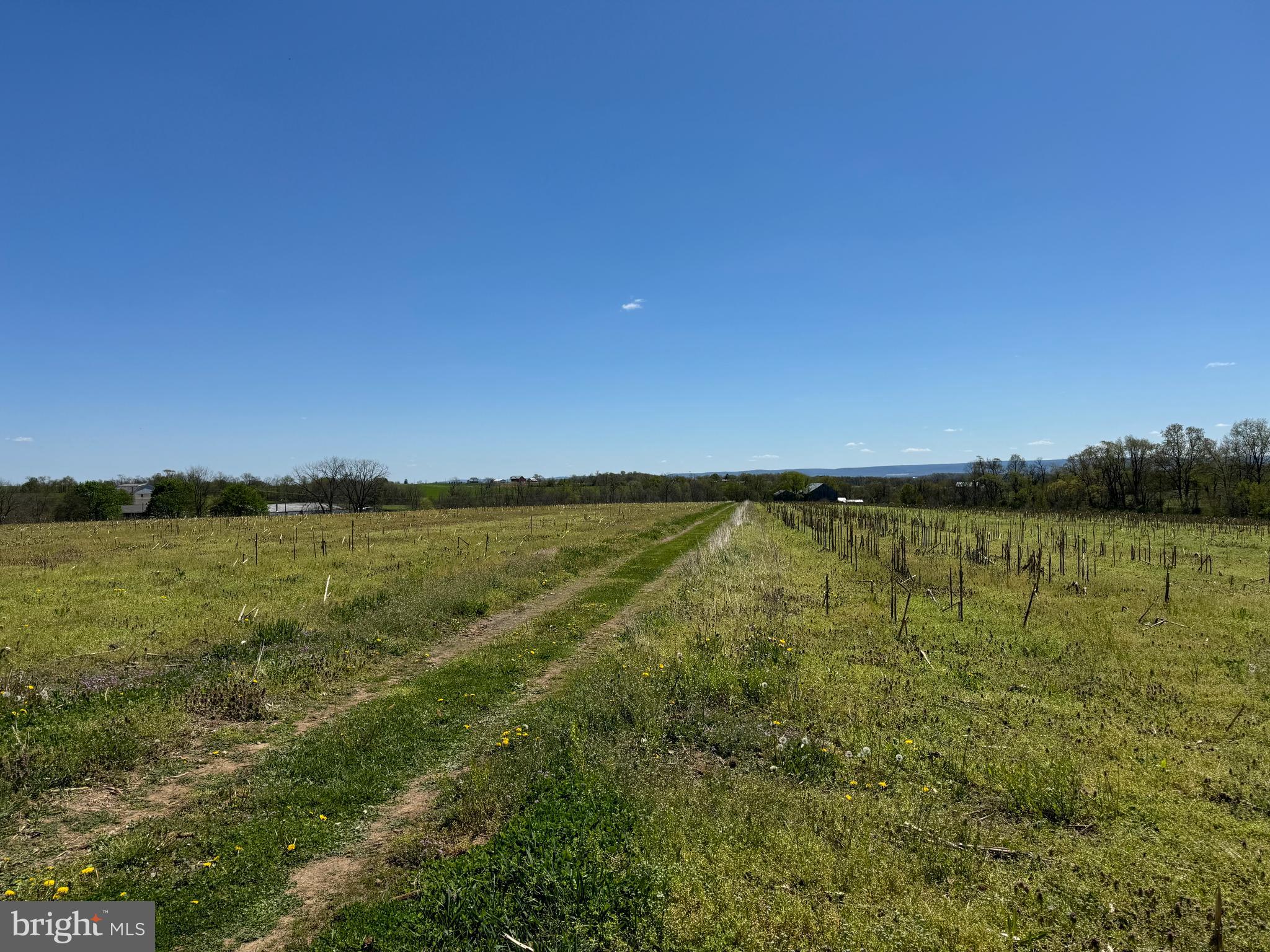 NONE AVAILABLE - Farm