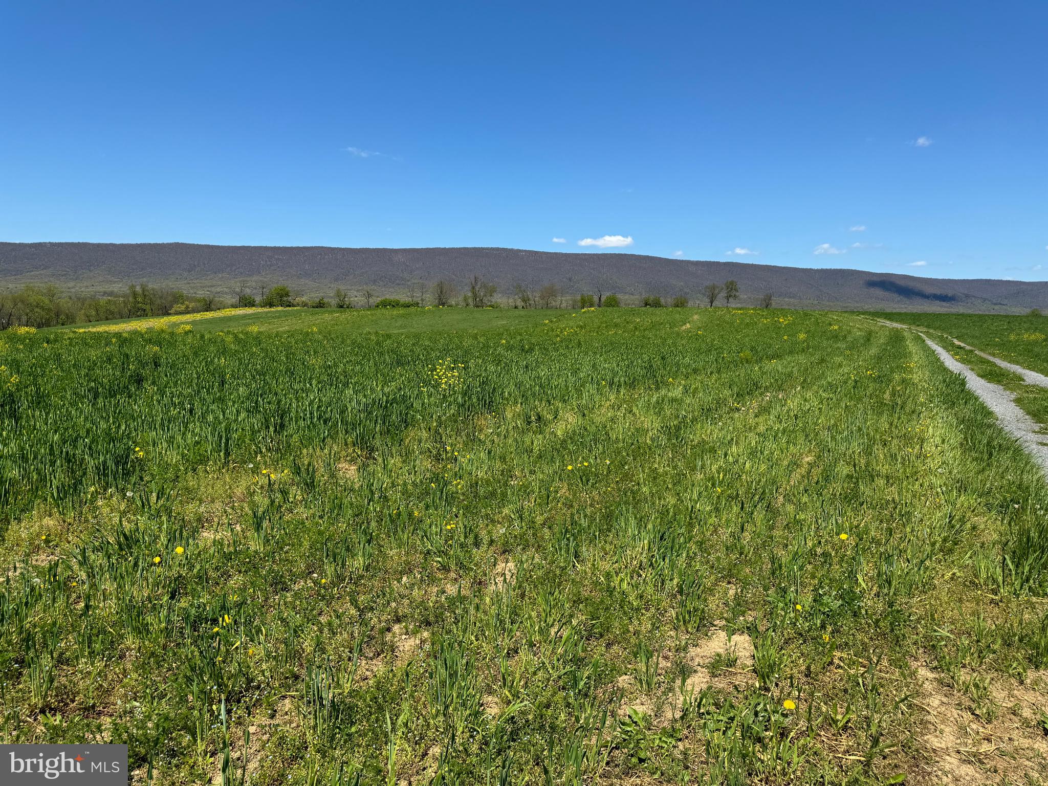 NONE AVAILABLE - Farm