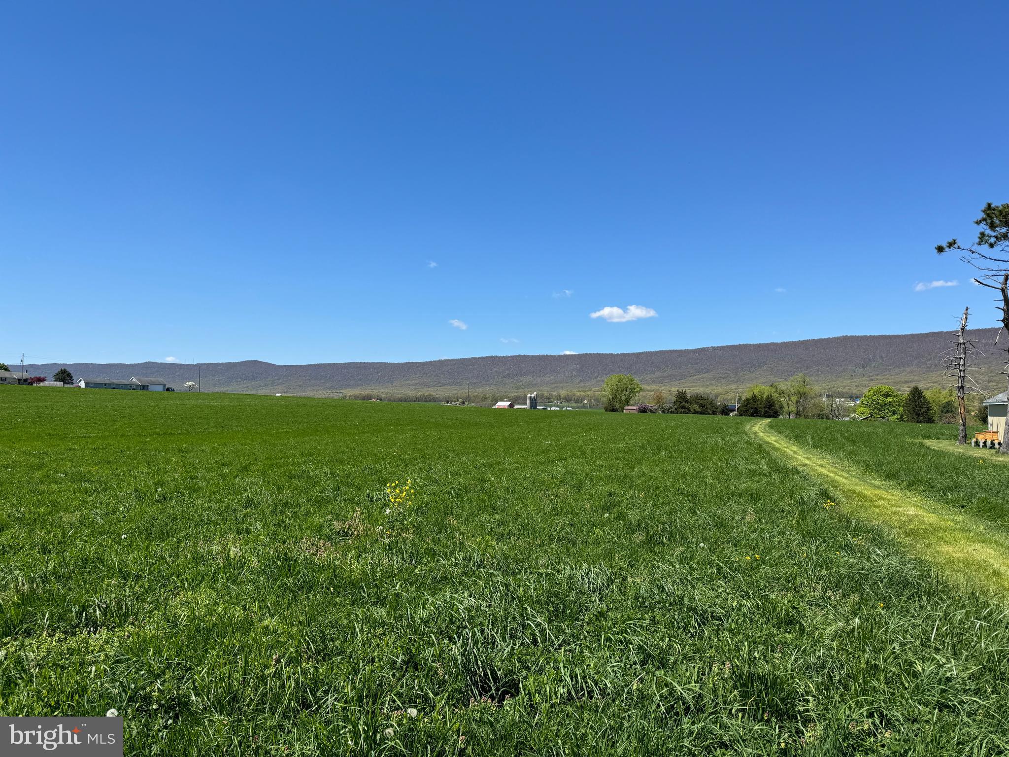 NONE AVAILABLE - Farm