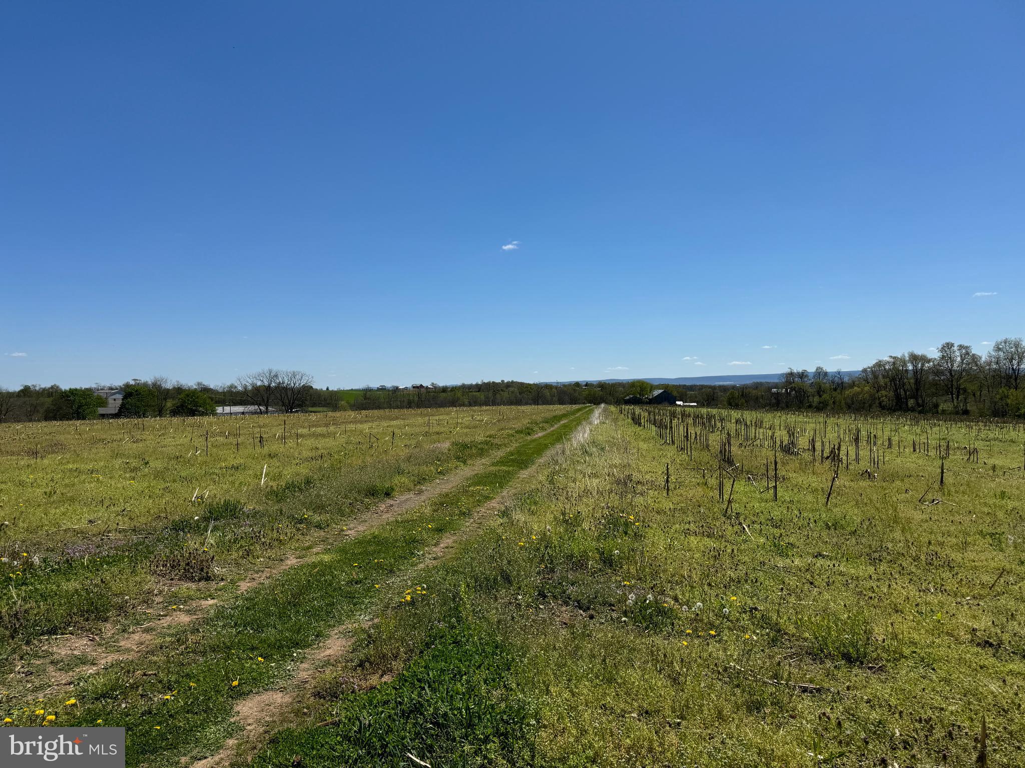 NONE AVAILABLE - Farm