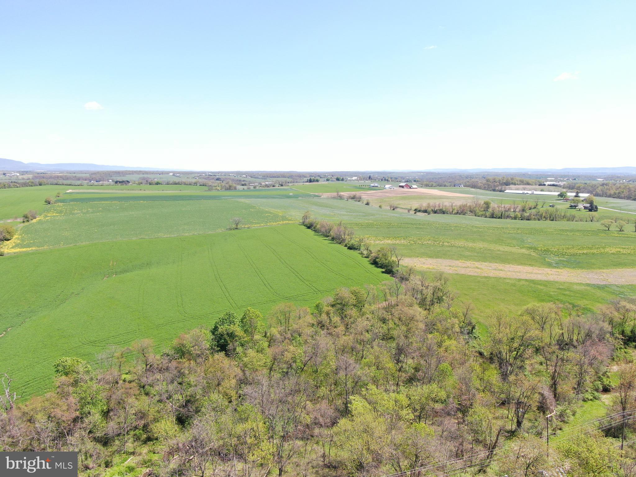 NONE AVAILABLE - Farm