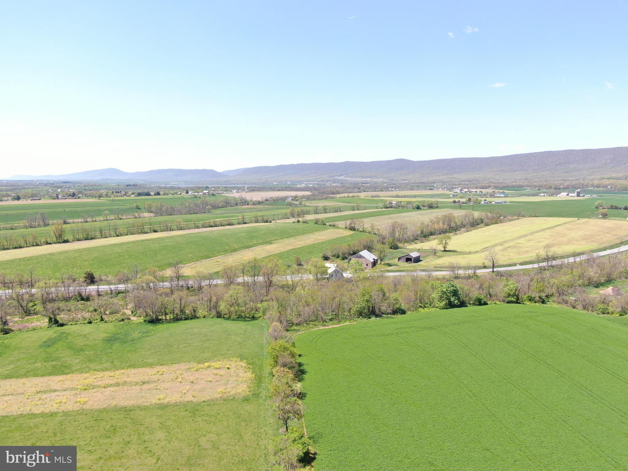 NONE AVAILABLE - Farm