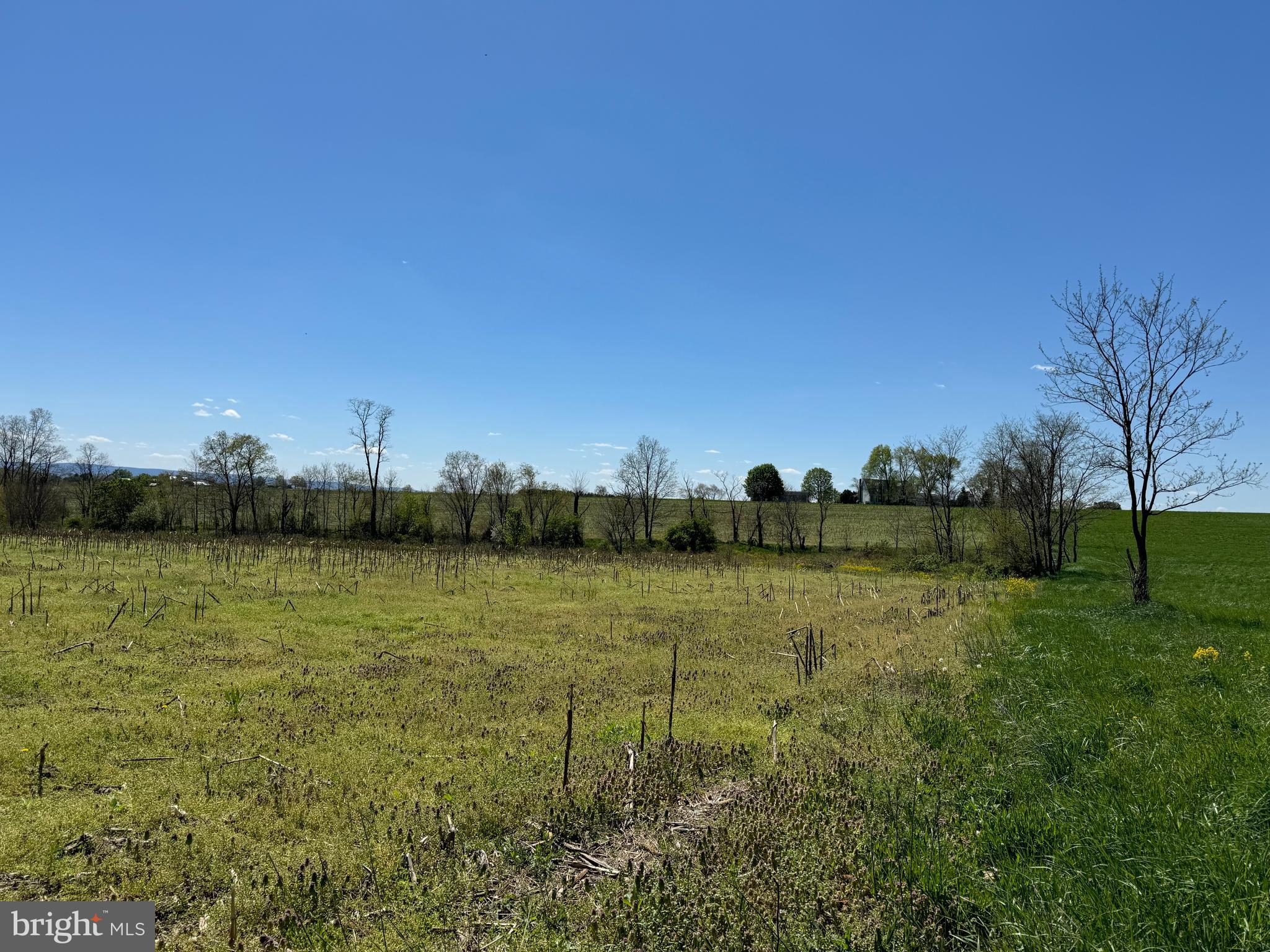 NONE AVAILABLE - Farm