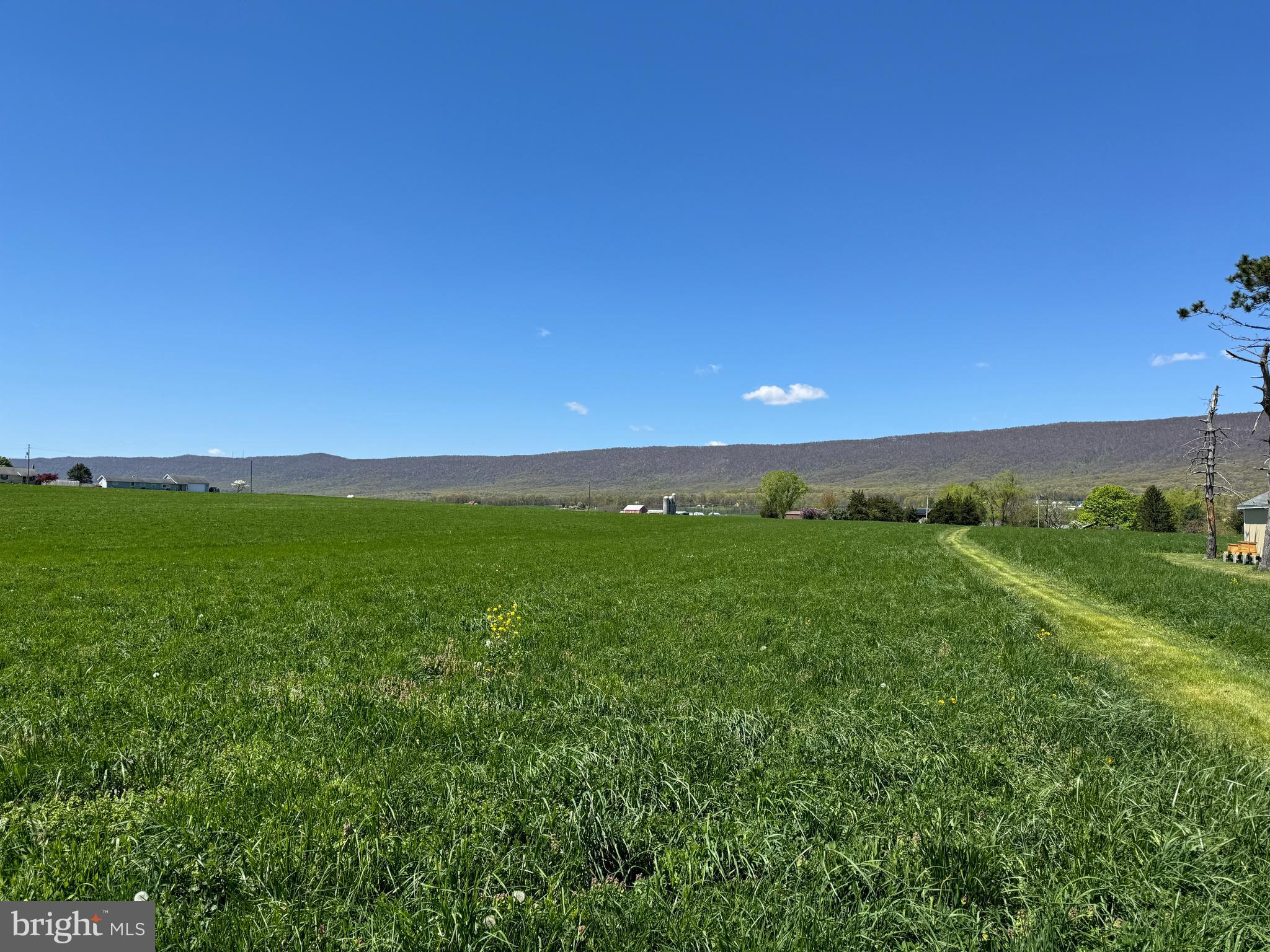 NONE AVAILABLE - Farm