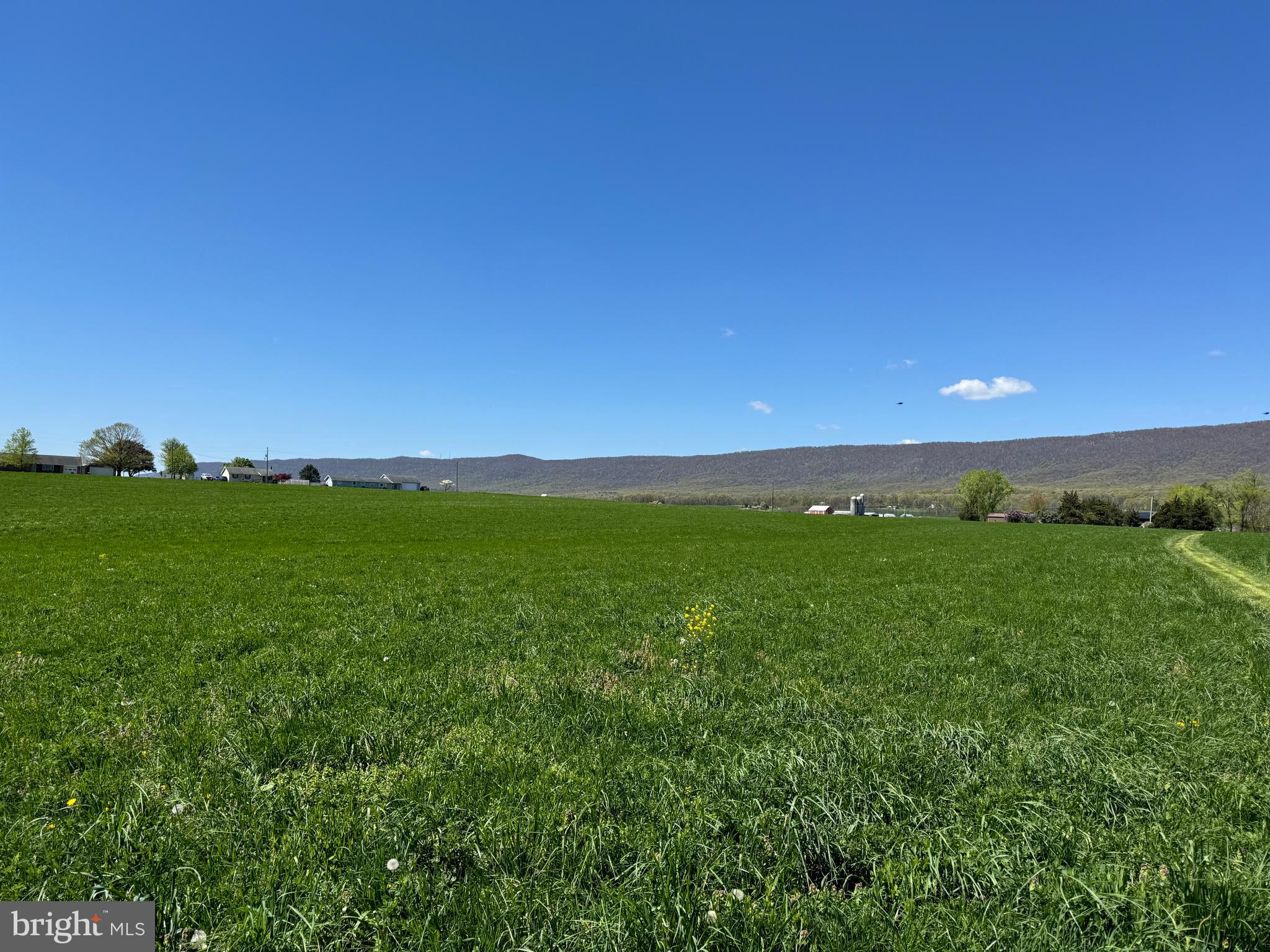 NONE AVAILABLE - Farm