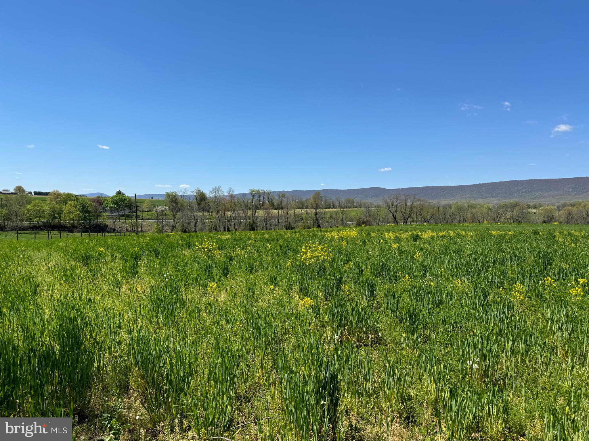 NONE AVAILABLE - Farm