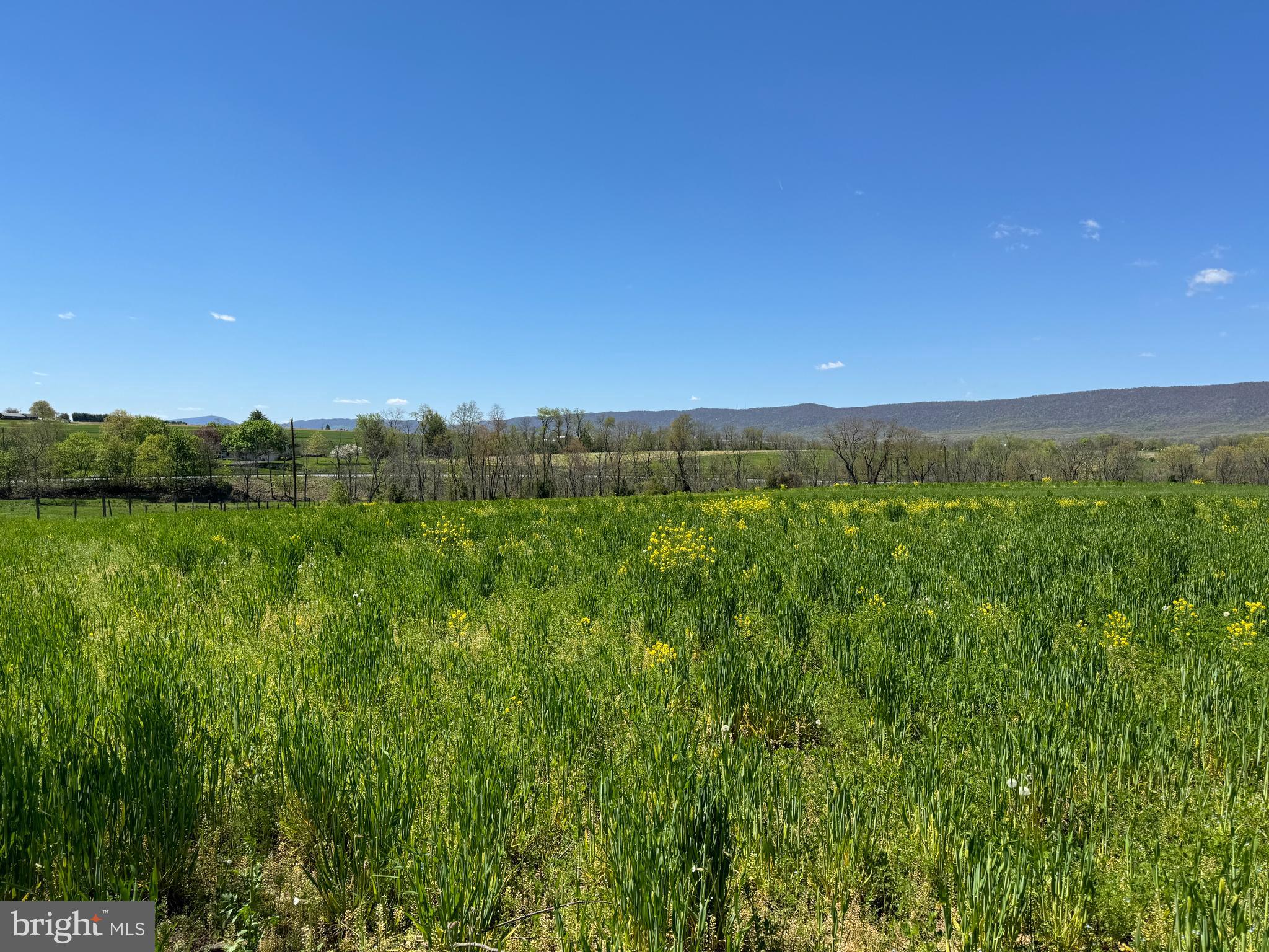 NONE AVAILABLE - Farm