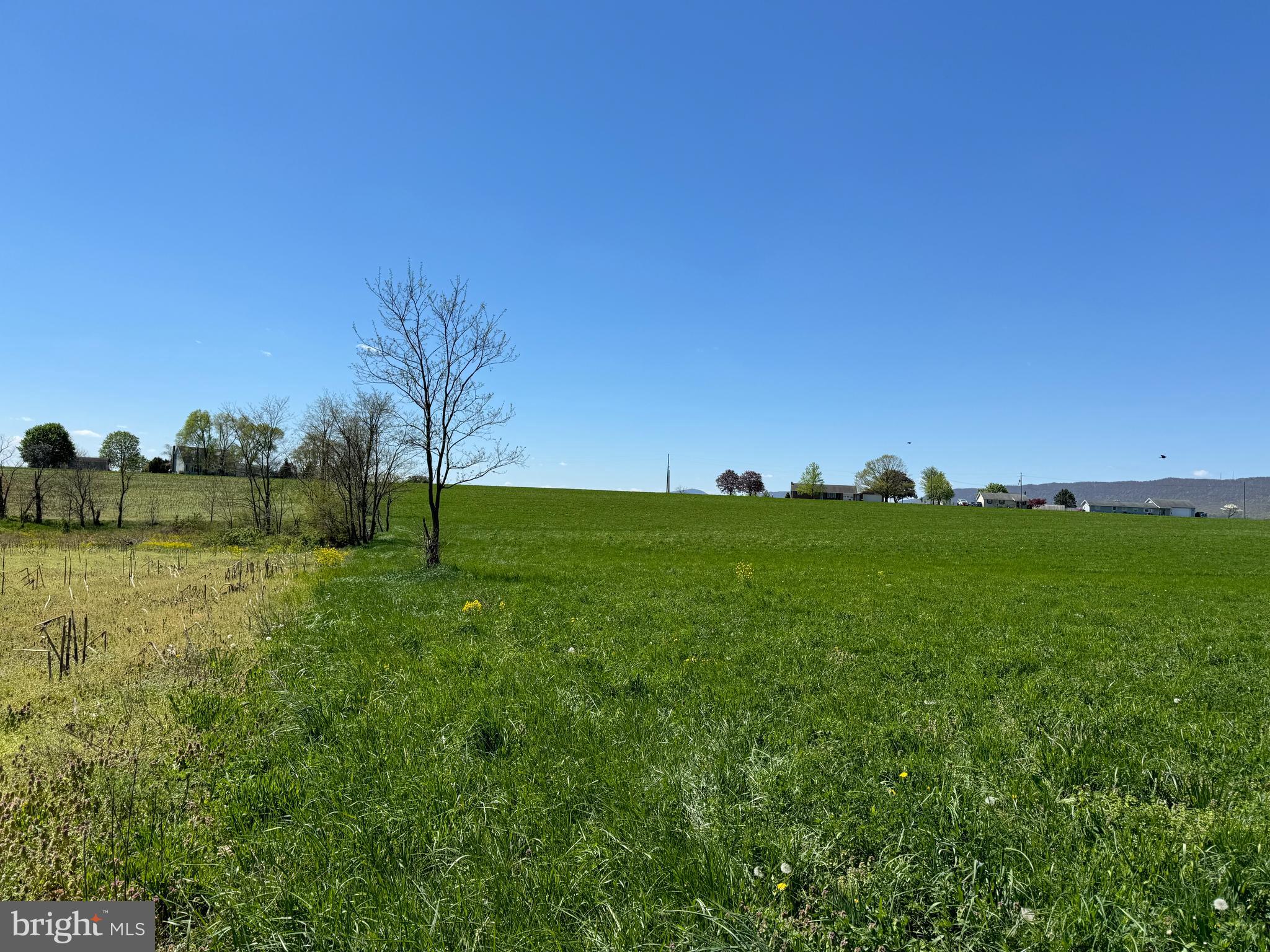 NONE AVAILABLE - Farm