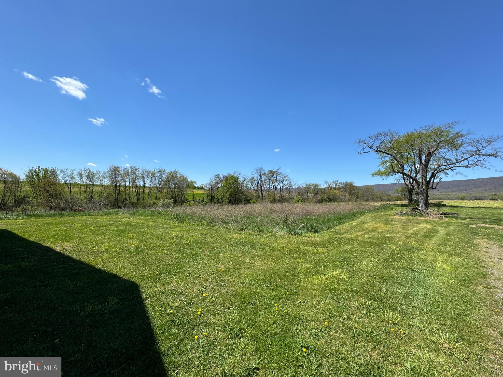 NONE AVAILABLE - Farm