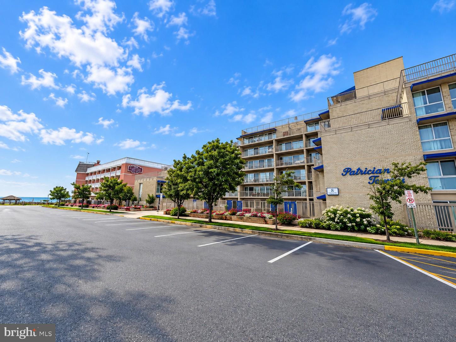 8 OLIVE AVENUE 211