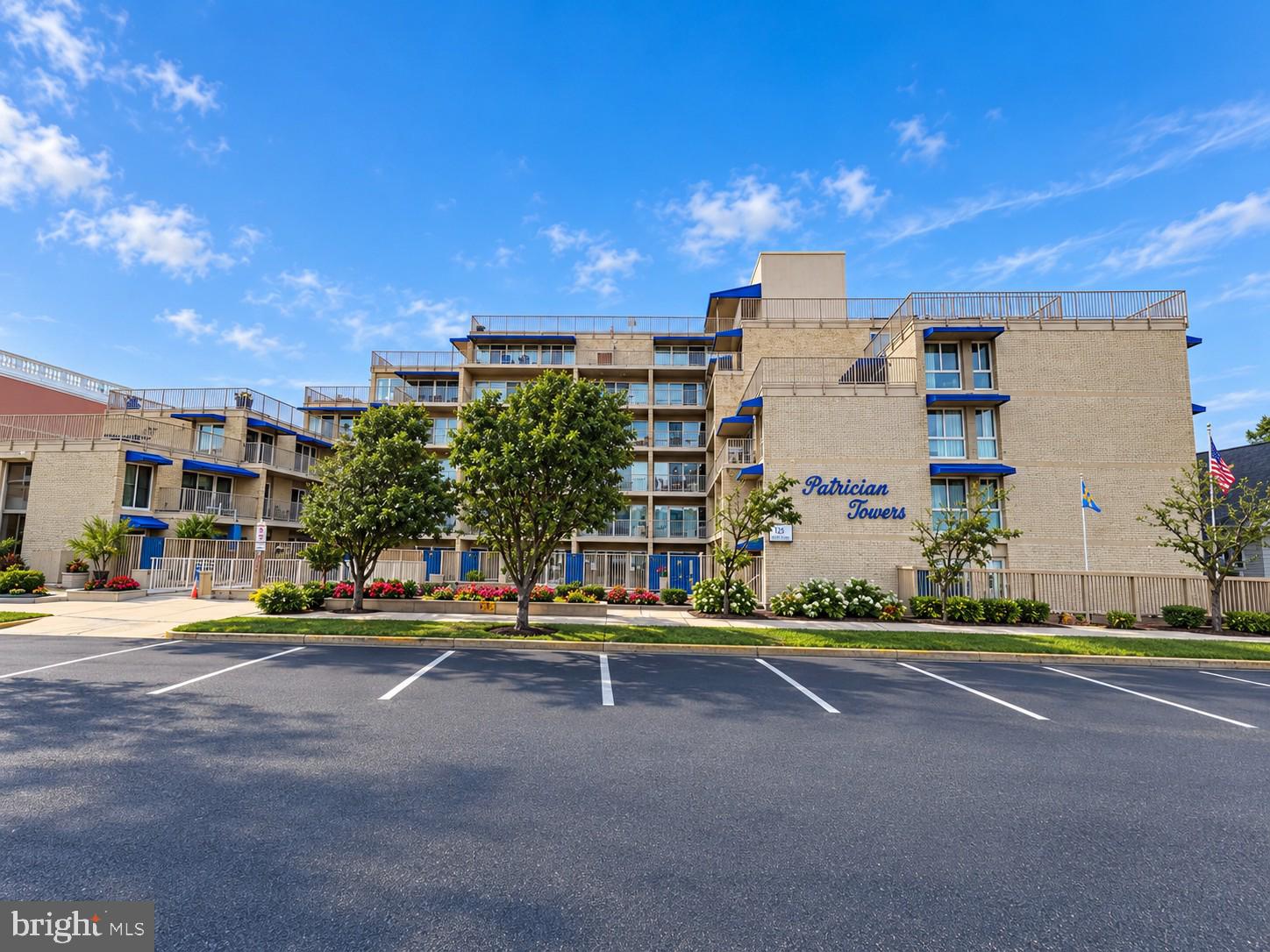 8 OLIVE AVENUE 211