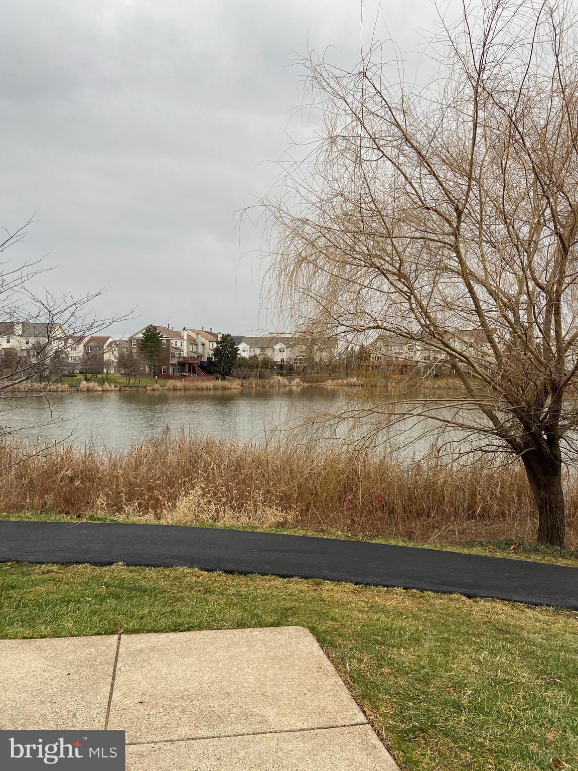 LAKESHORE CONDO - Residential Lease