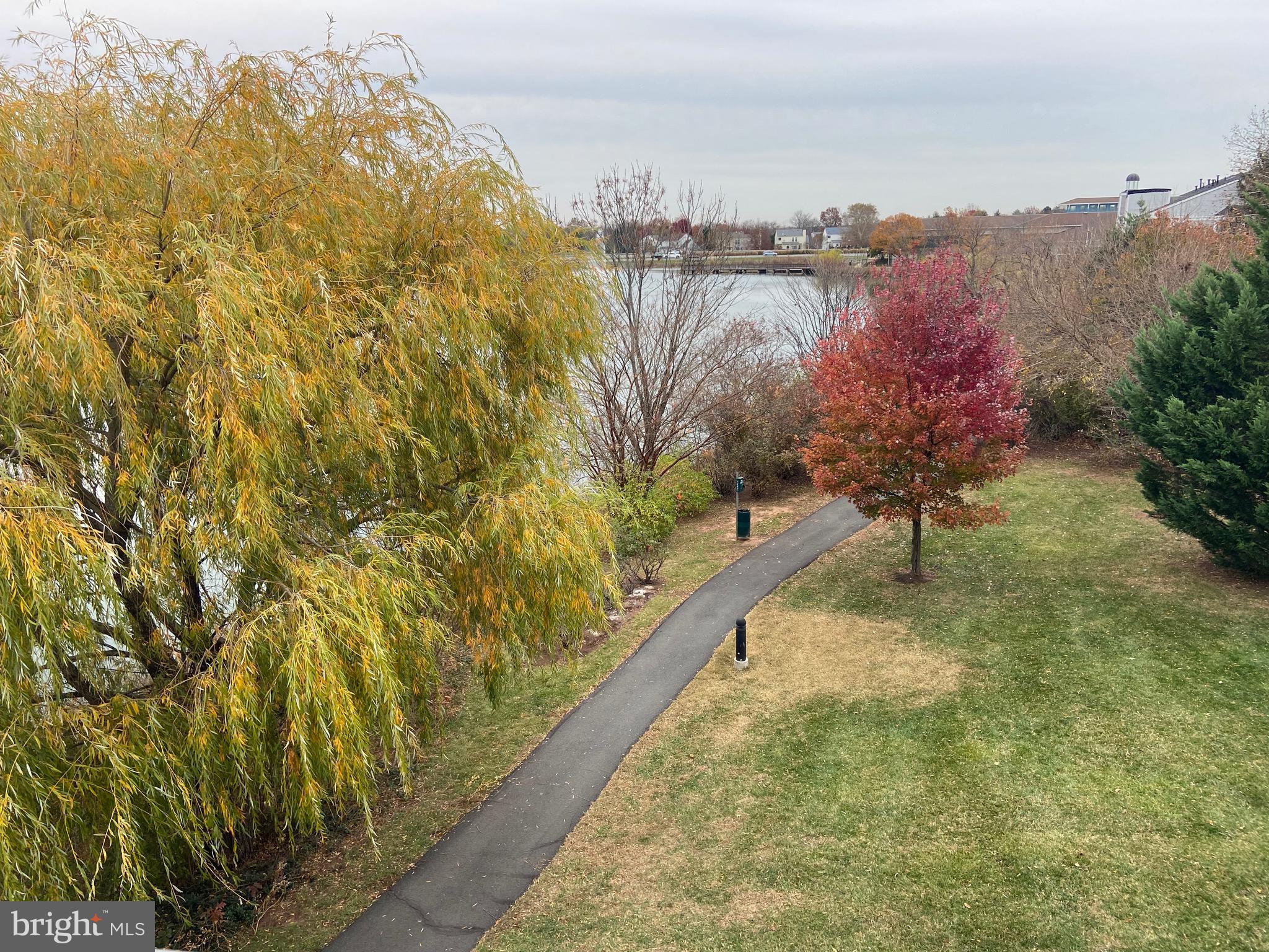 LAKESHORE CONDO - Residential Lease