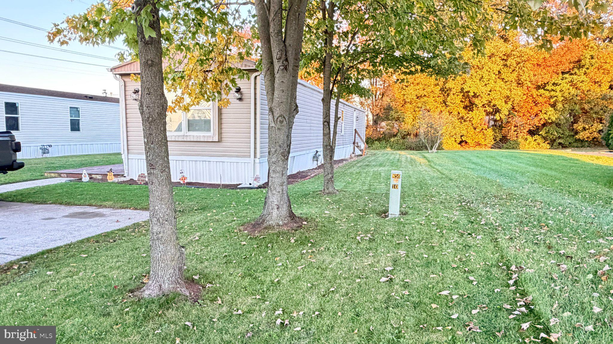 225 RIM ROAD