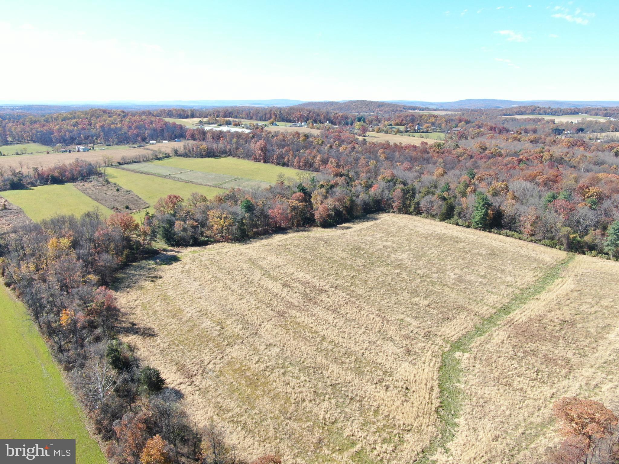 TRACT 1: 38.37+/- ACRES OLD HARRISBURG ROAD