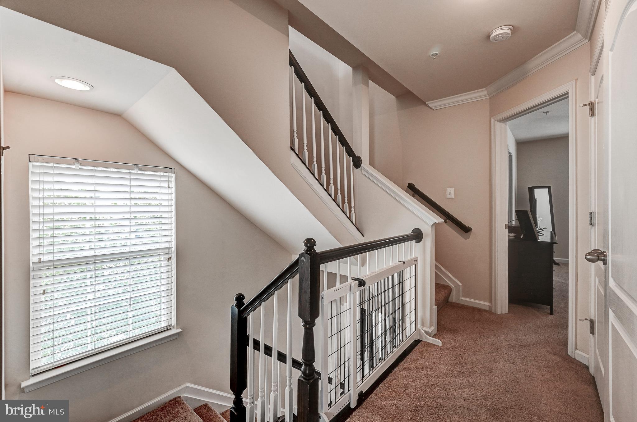 OXFORD SQUARE - Residential