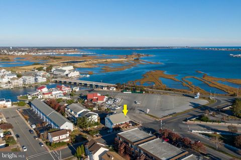 14211 DUKES AVENUE 203 OCEAN CITY MD 21842