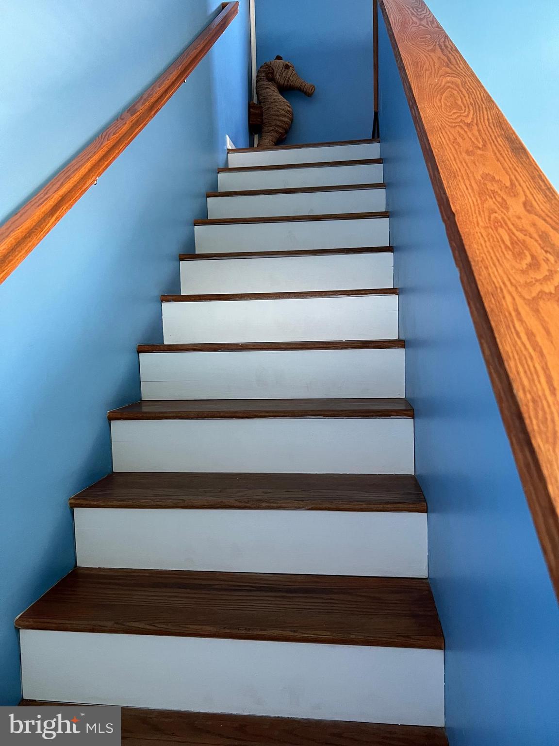 CAINE WOODS - Residential