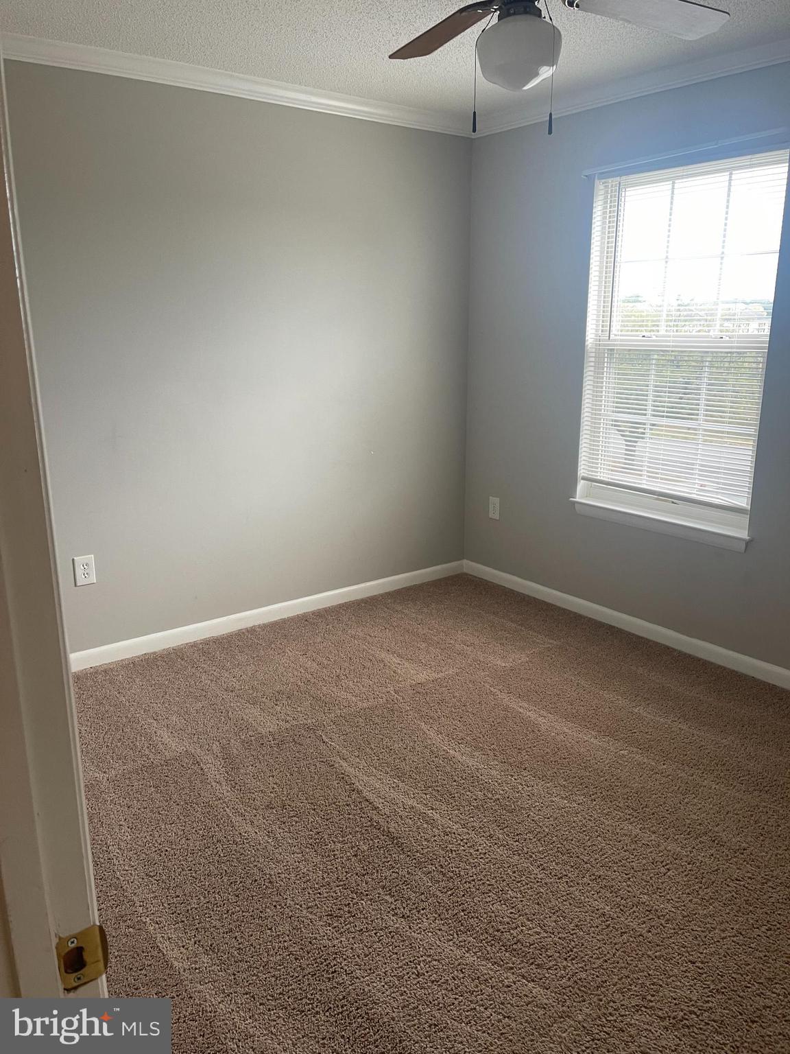 CARLISLE HEIGHTS - Residential Lease