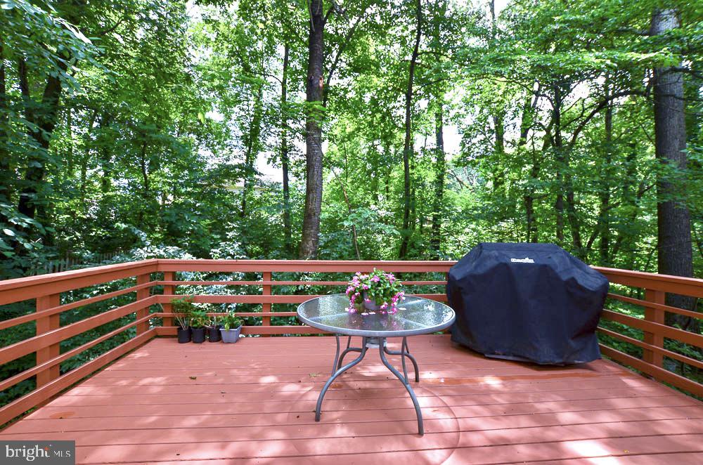 COUNTRYSIDE - Residential